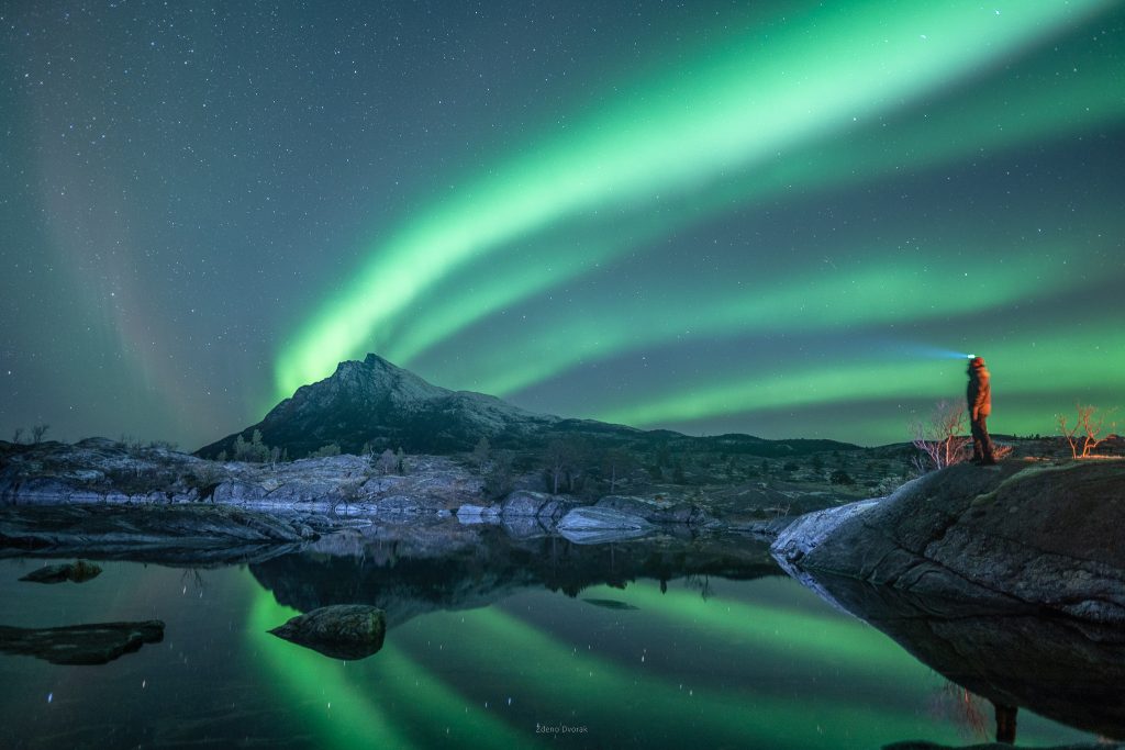 ZORZA GAZELA W LAPONII NORWEGIA