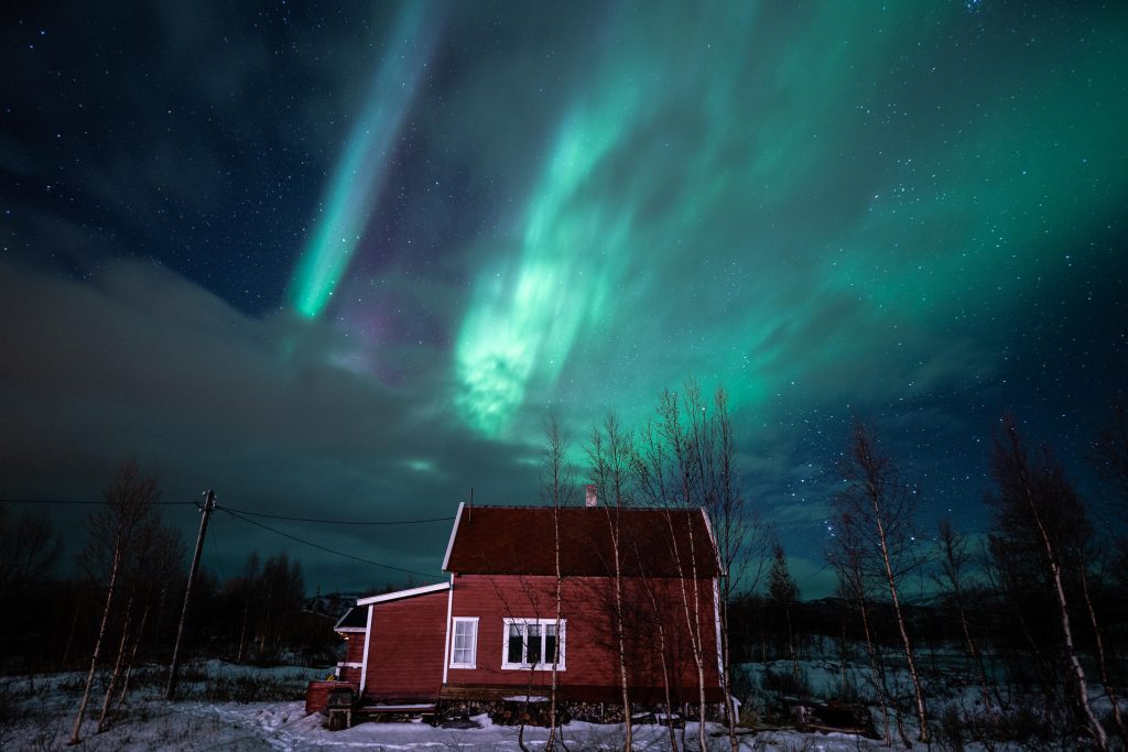ZORZA GAZELA W LAPONII NORWEGIA