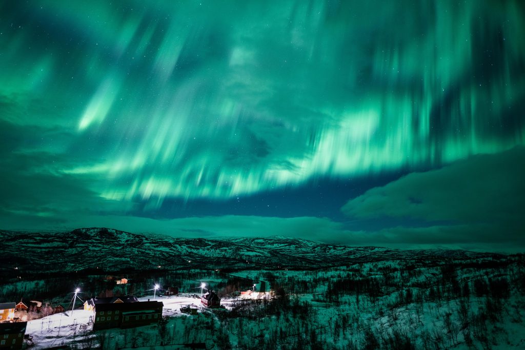 zorza polarna, gazela w laponii